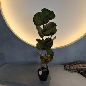 Quality 100cm Artificial Coccoloba Tree UV Resistant wholesale