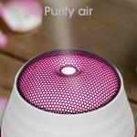 Metal Electric Aroma Diffuser 100ml Doterra Essential Oil Diffuser For Home
