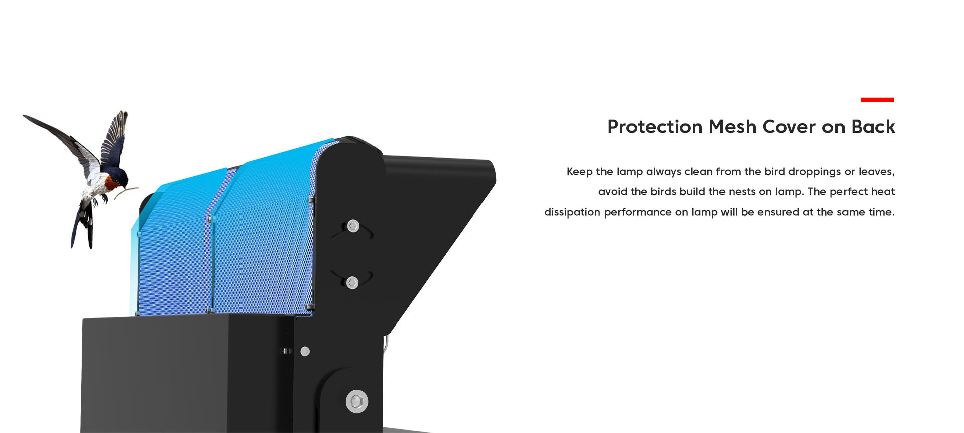 High End Asymmetric Glare Free LED Flood Light Flexible Precise Target