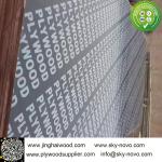 Brown film face plywood with logos