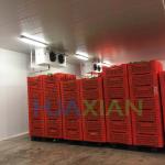 Deep Freezer/Chiller/Cool/Cold Modular Storage Room for Meat/Vegetables/Fish