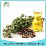 Organic Pure Manufacturers Bulk Farwell Cold Pressed Castor Oil for Cooking