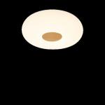 Modern Simple Wood Grain Ceiling Light Home Bedroom Book Room Lighting