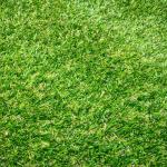 Shop Decoration Indoor Grass Mat Floor Wall Covering CE SGS Approved
