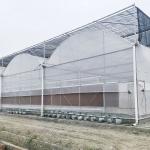 Hydroponic Growing Systems Greenhouse Low Cost Greenhouse Agriculture Plastic