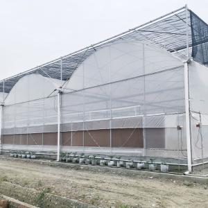 Quality Hydroponic Growing Systems Greenhouse Low Cost Greenhouse Agriculture Plastic Greenhouse wholesale