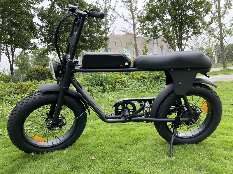 Fat Tire 73 Electric City Bike Front Suspension 48V 500W 750W Electric Bicycle 20"*4.0 Electric Fat Bike