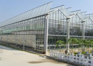 Quality Medical Planting Agricultural Greenhouse Customized Size With Blackout Curtain wholesale