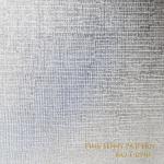 Fine Lenny Pattern Metallic Coated Paper for Certificate Packaging