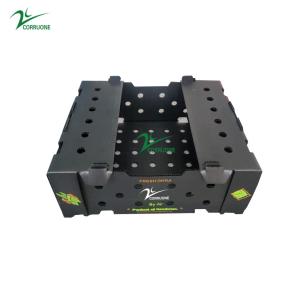 Quality Customizable Fruit Corrugated Boxes Flat Surface wholesale