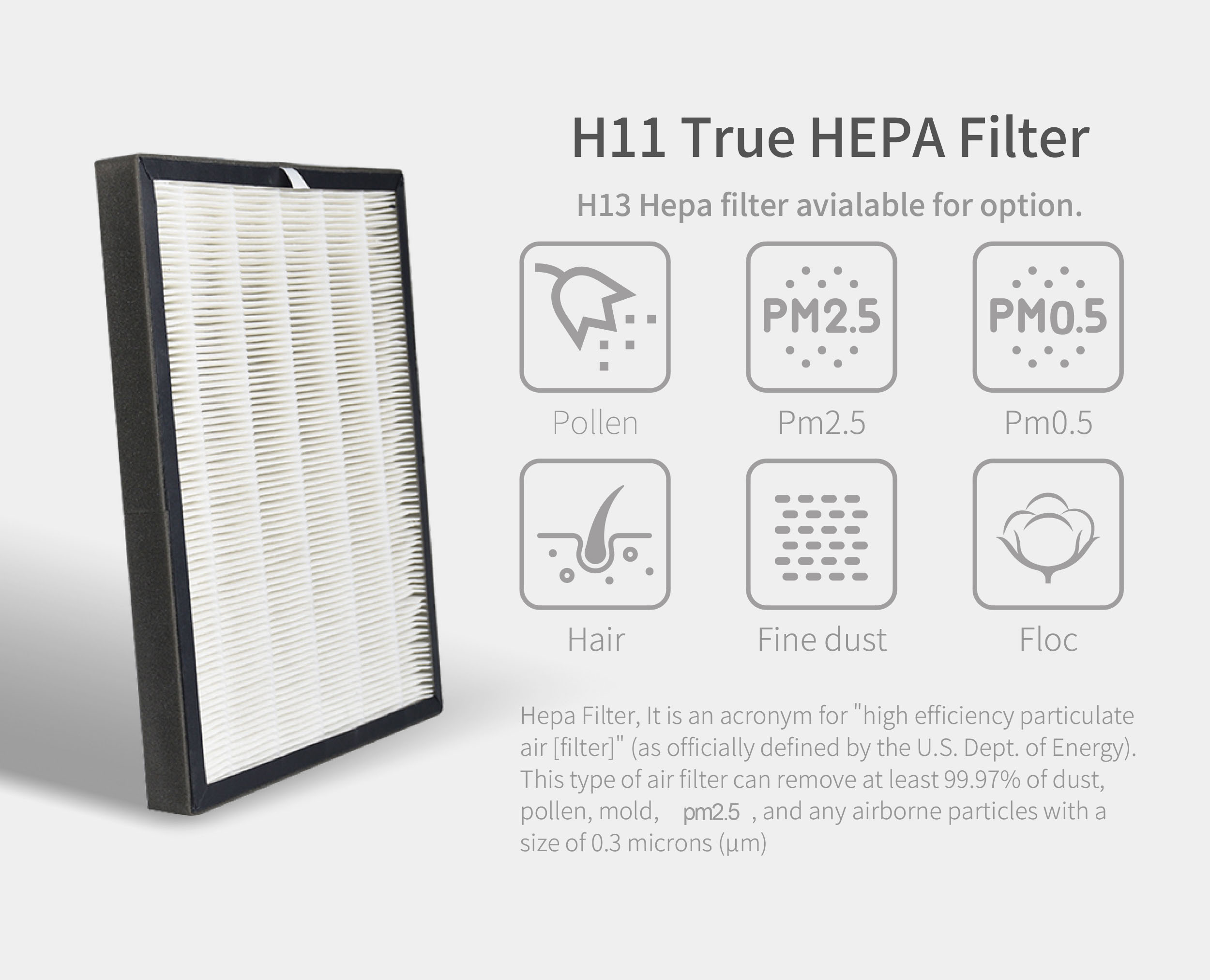 HOMEFISH H11 HEPA Negative Ion UV Air Purifier With PM2.5 Display