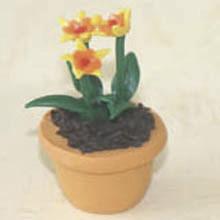 Quality Model Ceramic pot Flower CF61 wholesale