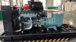 1500RPM/1800RPM Speed Coal Electrical Generator for 10kW-500kW Power Plant