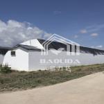 Plastic Film Agricultural Greenhouse With High Insulation Automatic Air