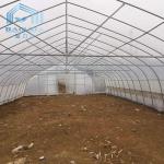 Agriculture Plants Growing Strong Structure Polyethylene Film Greenhouse for