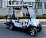 High Degree Electric Golf Cart E 3 Wheel 4 Wheel Drive Lifted Street Legal Club