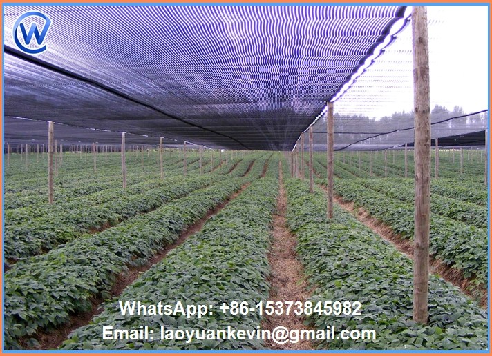 30%--90%hide shade rate sunshade net