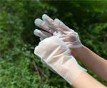 M Transparent Plastic Tpe Powder Free Disposable Gloves 100pcs