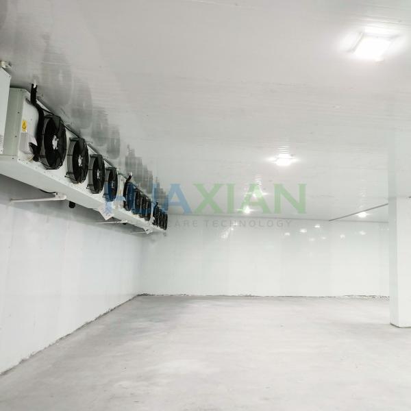 400sqm China Sale Water Cooling Mushroom Cold Storage Refrigeration Freezer Room