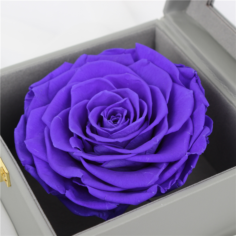 7-8CM Complex Colorful Preserved Rose Gift Box For Indoor Decoration