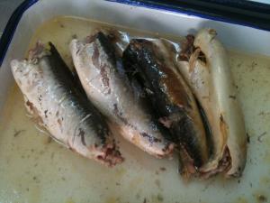 Quality EU Certified Mackerel Canned Fish In Brine High Heart Healthy Omega - 3 Fatty Acids wholesale