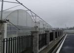 Agricultural Hydroponic Venlo Glass Greenhouse High Efficiency Energy Saving