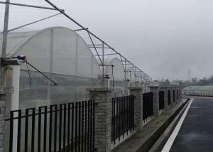 Quality Agricultural Hydroponic Venlo Glass Greenhouse High Efficiency Energy Saving wholesale
