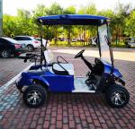 Chinese Export EV 2 Seater Golf Cart 48V 3.5KW AC System Good Quality Golf