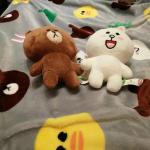 Teddy Bear Cartoon Print Blanket / Animal Print Baby Flannel Blanket Eco
