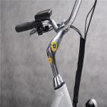 200 Watt 12 Inch Electric Bike Portable Battery 300 Lb Weight Limit 30 Km/H