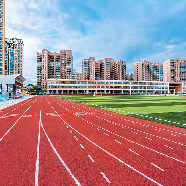 Recyclable Eco Sports Flooring Self Knot Pattern Running University