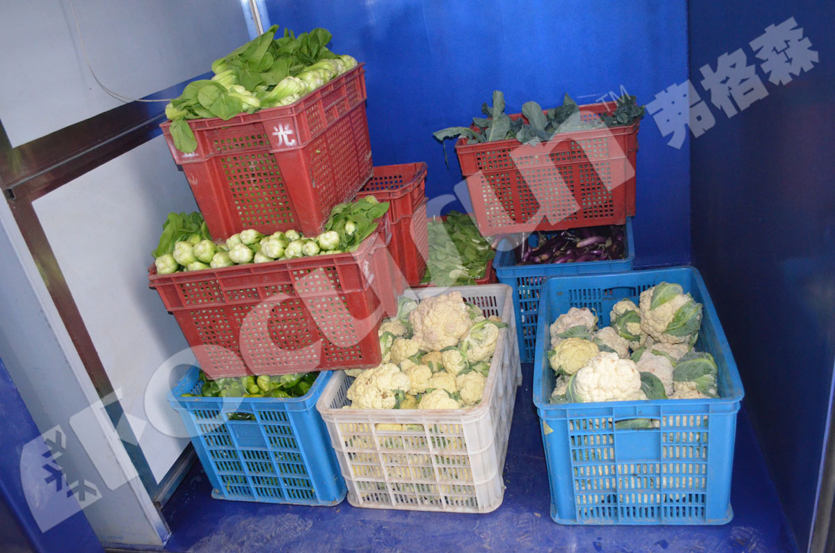 Leafy Vegetables Vacuum Cooler Bock Compressor -5C 5C Temperature Fast Cooling Machine