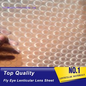 Quality PLASTIC LENTICULAR latest flying 3d lenses fly-eye plastic sheet film with 3d 360 degree wholesale