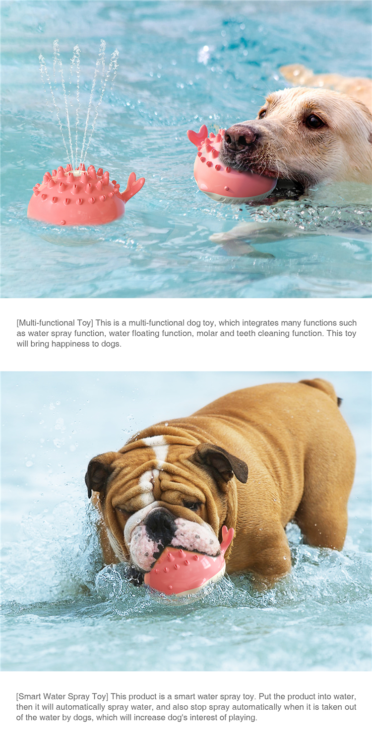 Hot Sale New Little Crocodile Spray Toy Water Dog Toy For Summer Dogs