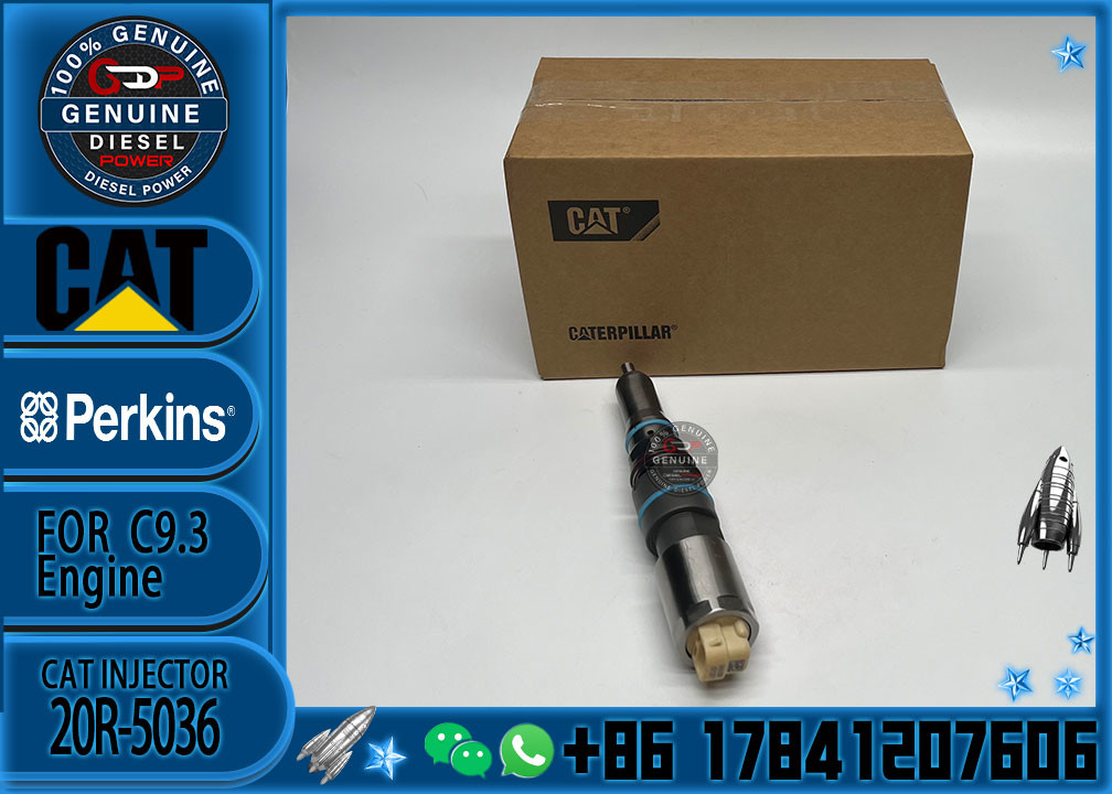 Diesel engine parts CAT C9.3 engine fuel Injector 456-3493 4563493 fuel injector 20R-5036 Excavator 336E