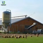 Agriculture Pole Barn Steel Structure Farm Shed Building Poultry Chicken House