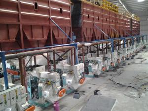 Quality Complete Overseas Wood Pellet Plant Biomass Pellet Production Line 1-20t/h wholesale