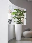 Customizable Fiberglass Flower Planters For Outdoor Gardening Decor