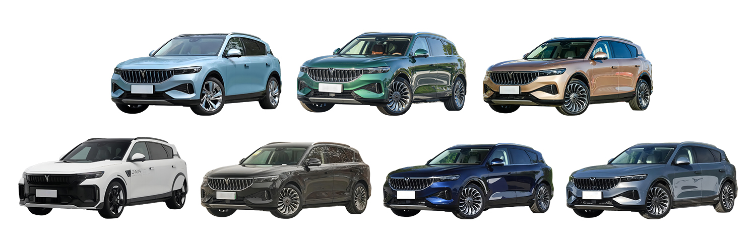 2024 Energy Vehicles SUV VOYAH FREE 5seats And 4 Electric Vehicles Car With Fast Charge Time 0.75h Total Motor Power 510KW