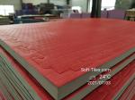 Martial Arts Tatami EVA Gym Foam Mat Odor Free 20mm 40mm