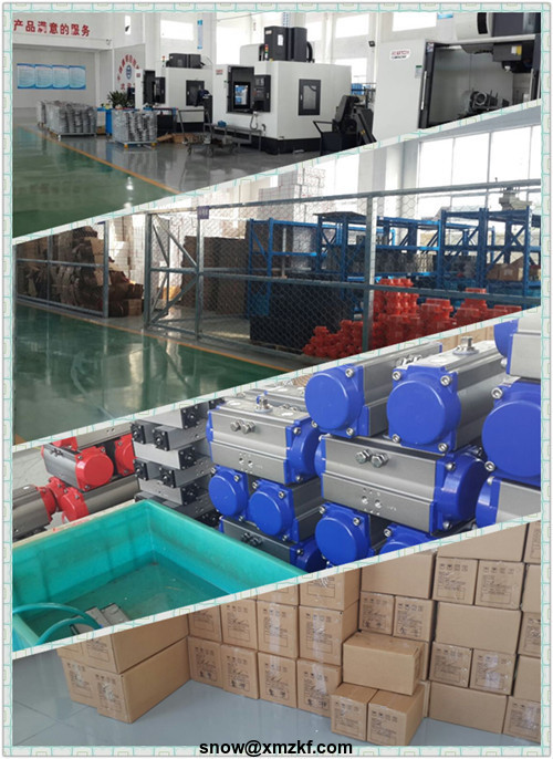 Rack and Pinion Valve Actuator Pneumatic Valve Actuator