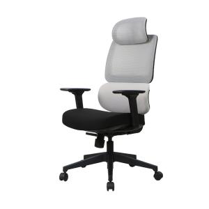 Quality PA Castor Full Mesh Ergonomic Office Chair Adjustable Lumbar Support wholesale