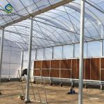 Commercial 200 Micron Film 0.50KN/M2 Multi Span Greenhouse