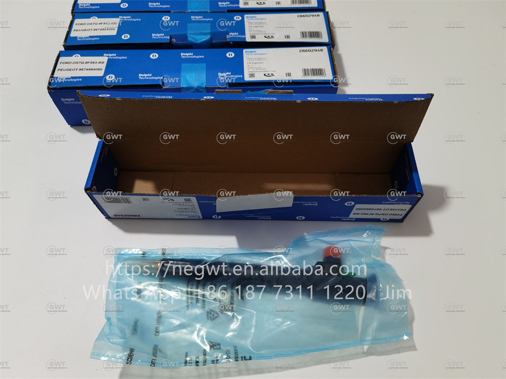 Common DELPHI Diesel Fuel Injectors 9674984080 DS7Q-9F593-BB 28319895 28388960 28602948