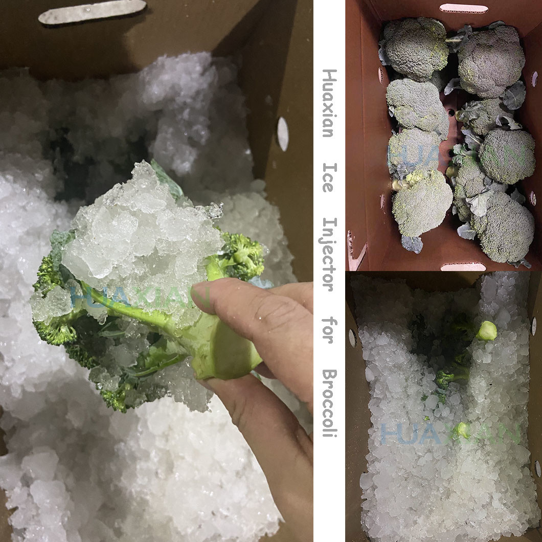 Water Ice Injector Rapid Cooling Stainless Steel For Broccoli Grower