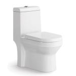 Siphon Peeping Elongated One Piece Toilet Floor Mounted