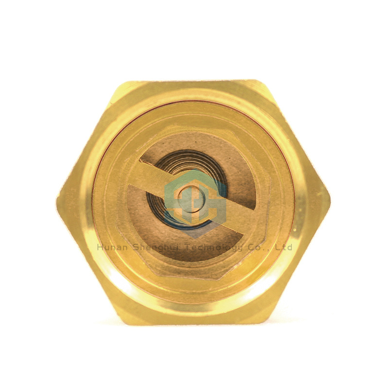 BSP Extension Union Male Female Anti Air Rotation Front Brass Vertical Check Valve Water Meter