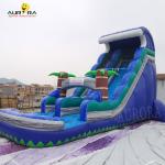 Tarpaulin Inflatable Water Slide For Adult Blue Tropical Kids Tropical Palm Tree