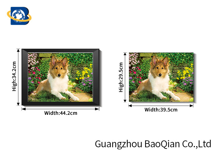 3D Lenticular Printing Products , 3D Lenticular Printing Pictures For Wholesale