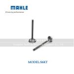 Multipurpose Inlet Exhaust Valve
